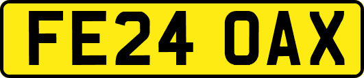 FE24OAX