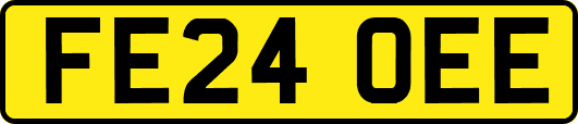 FE24OEE