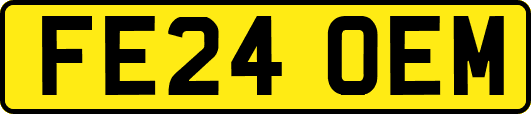 FE24OEM