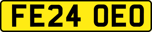 FE24OEO