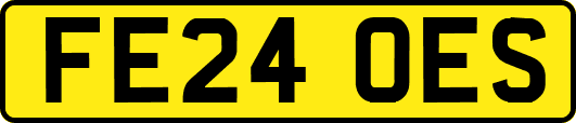 FE24OES
