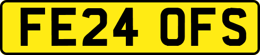 FE24OFS
