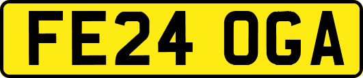 FE24OGA