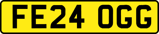 FE24OGG