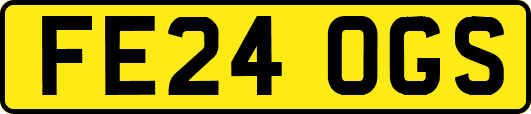 FE24OGS