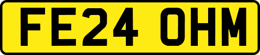 FE24OHM