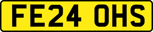FE24OHS