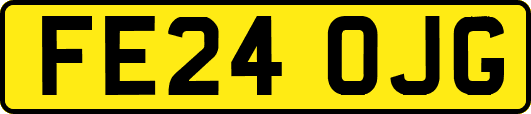 FE24OJG
