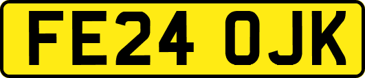 FE24OJK