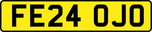 FE24OJO