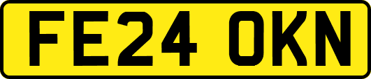 FE24OKN