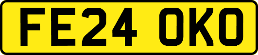 FE24OKO