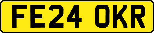 FE24OKR