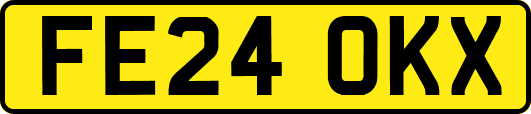 FE24OKX