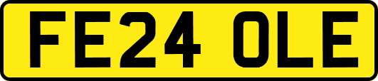FE24OLE