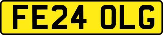 FE24OLG