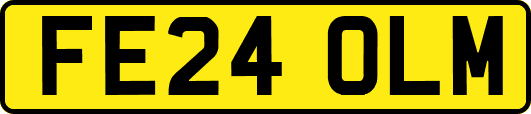 FE24OLM