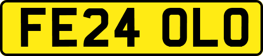 FE24OLO