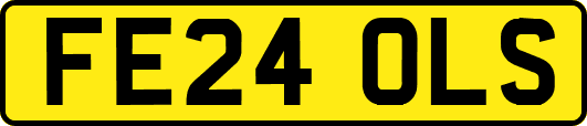 FE24OLS