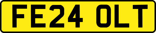 FE24OLT