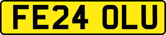 FE24OLU