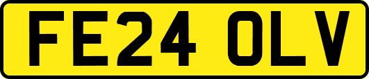 FE24OLV