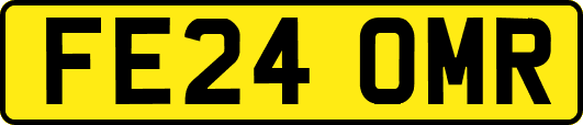 FE24OMR