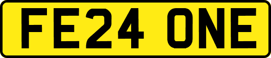 FE24ONE