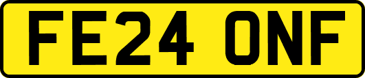 FE24ONF