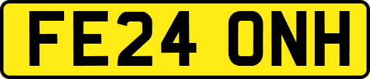 FE24ONH