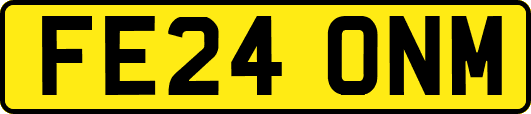 FE24ONM