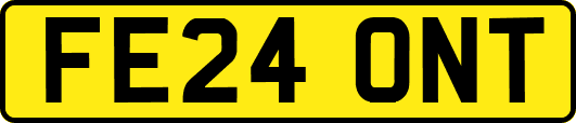 FE24ONT