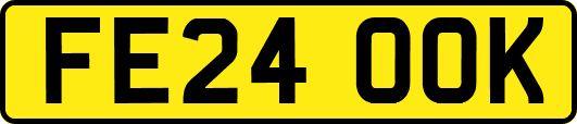 FE24OOK