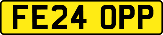FE24OPP