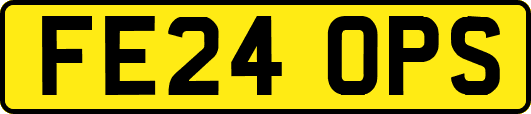 FE24OPS