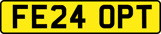 FE24OPT