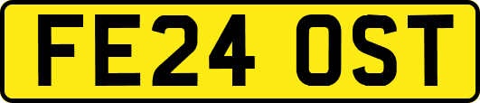 FE24OST