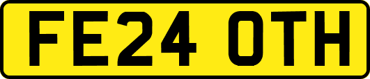 FE24OTH