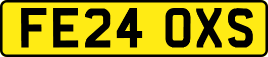 FE24OXS