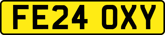 FE24OXY