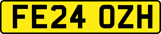 FE24OZH