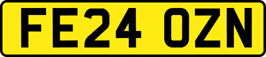 FE24OZN