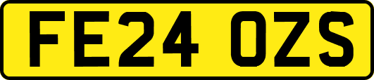 FE24OZS