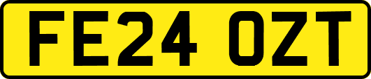 FE24OZT