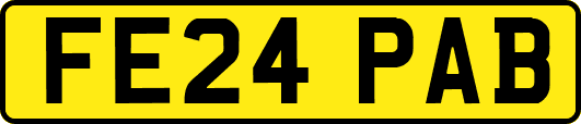 FE24PAB