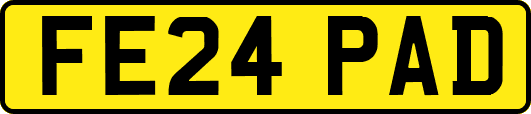 FE24PAD