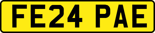 FE24PAE