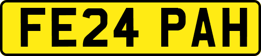 FE24PAH