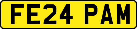 FE24PAM