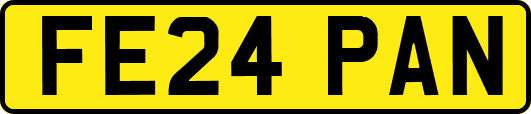 FE24PAN